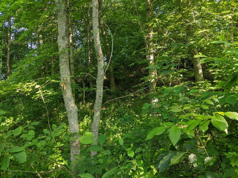 PXL_20230602_132315884