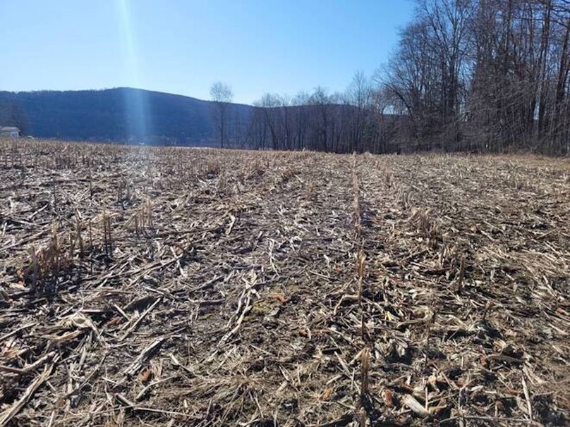 11067406-RwpZKbF6C66bFwts