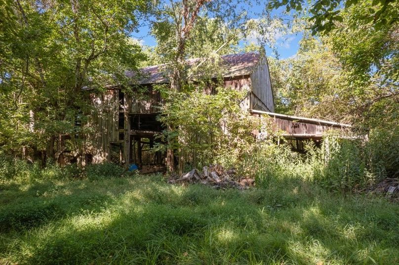 23-web-or-mls-DJI_0287