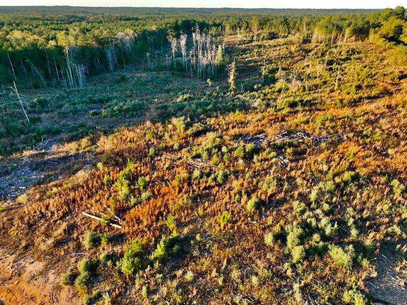 3B960FD3-6BD0-4321-9764-DDE4F8740F77_1_105_c