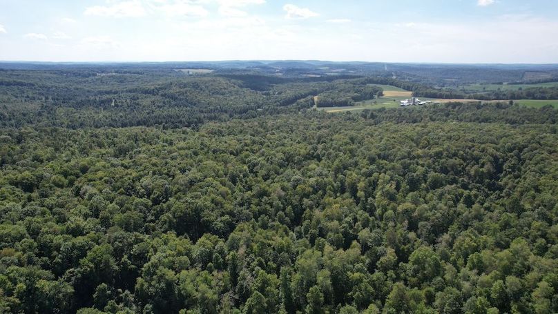 dji_fly_20240906_144350_623_1725648400827_photo