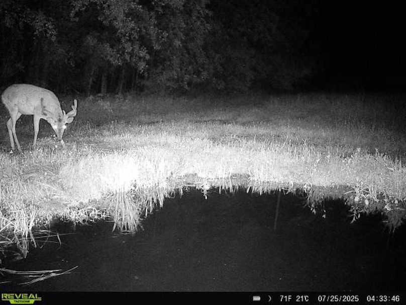 864049056680749-90-2-07252025043346-W1017125