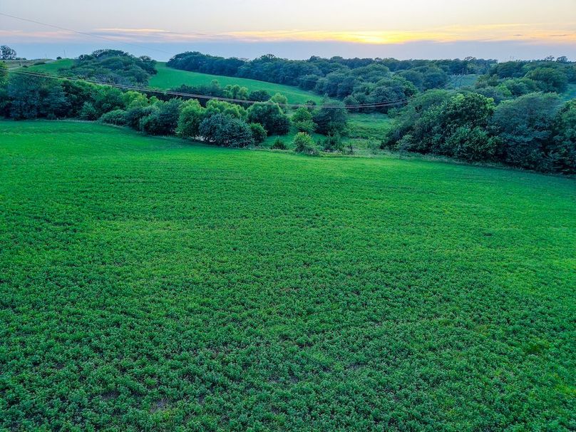 DJI_20250723202901_0443_D