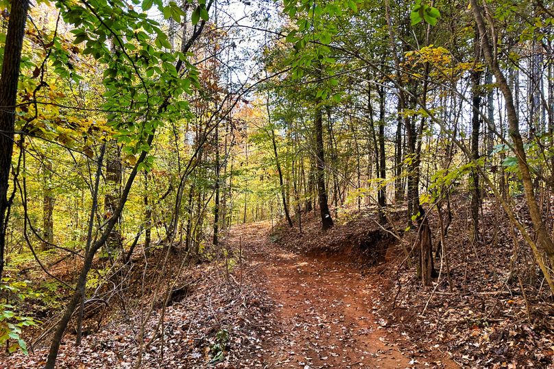 10 Trail 06