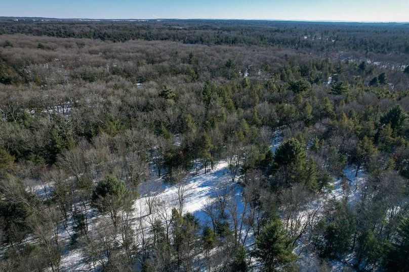 Adams 25, Nessler -74