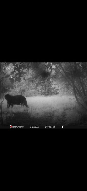 IMG_1442