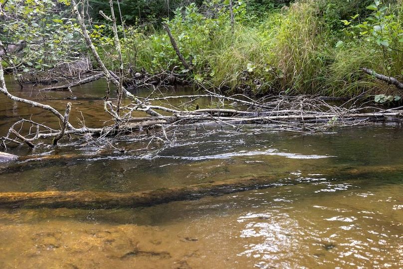 Mackinac 320 Copenhaver-62