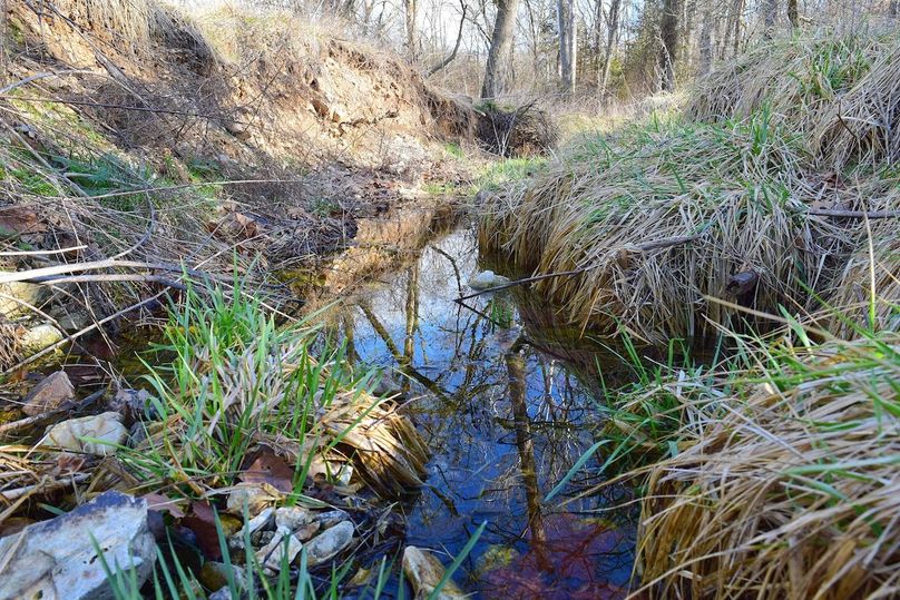 DSC_0336_inPixio (2)