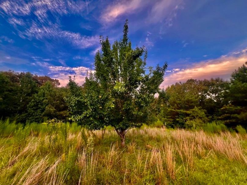 E75783E1-6D21-4D02-9333-37B50CEBD866_1_105_c