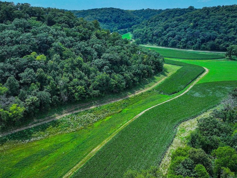 New Albin 8_8 edits-48