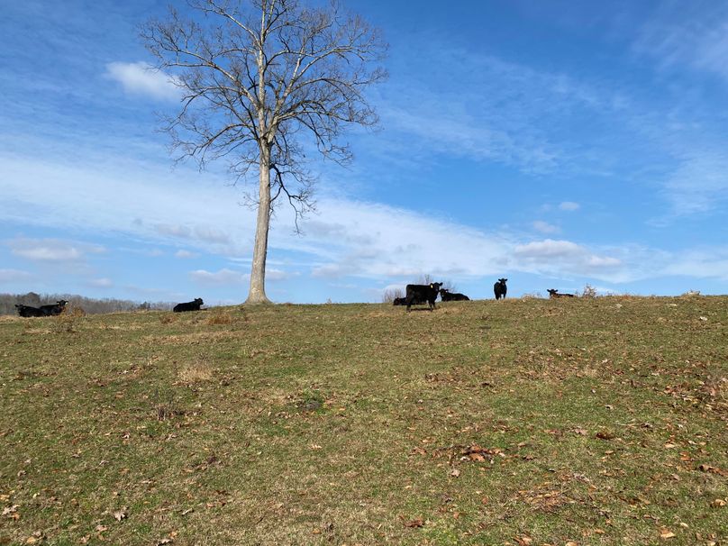 024 residents just hanging out doing what they do copy