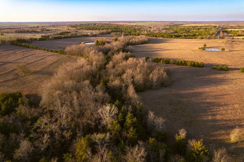 Lamar County 76.5 acres (11 of 23)