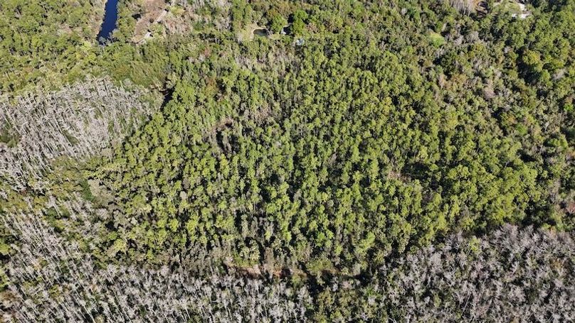 DJI_20260108102537_0112_D