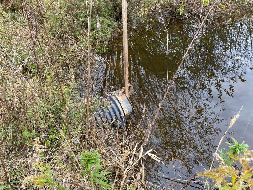 pics from late 2021 and early 2022. New plots being planted in Aug 2023 for new pics (36)