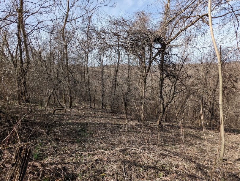 PXL_20230301_161955856