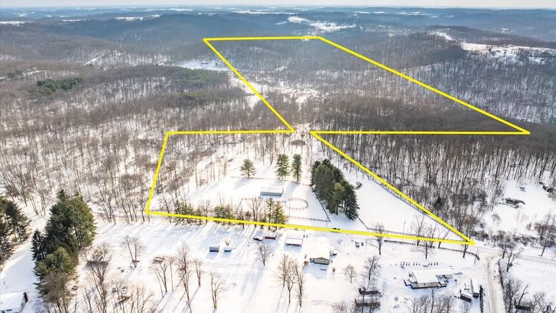 04-z 18408 Brushy002-2-Edit