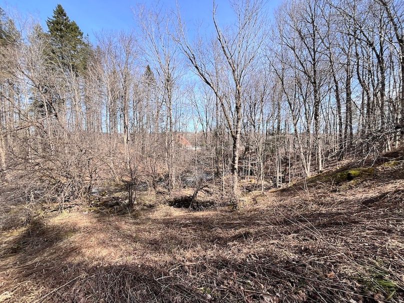 Lewis_26_Somberg Photo 35