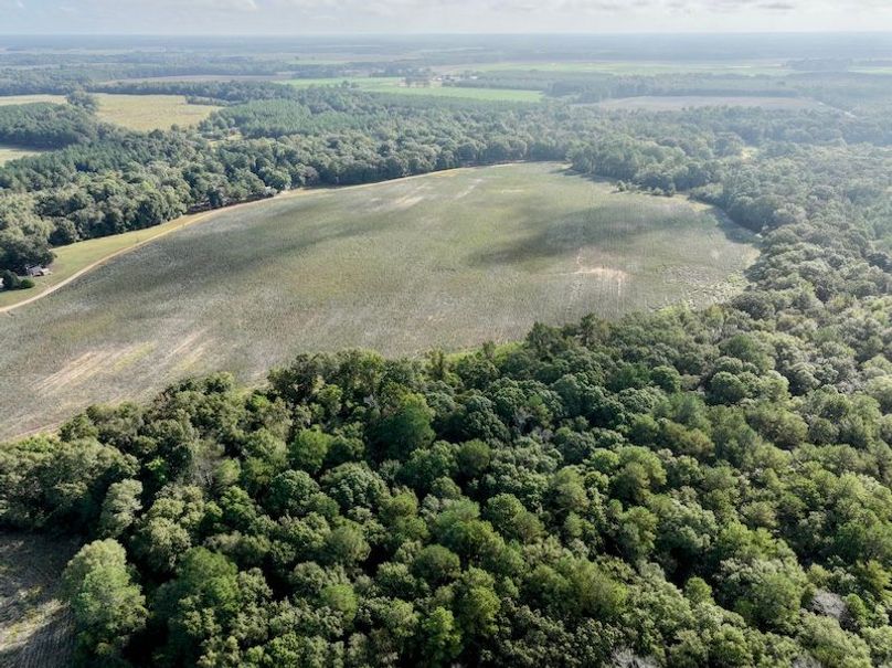 dji_fly_20251007_100832_224_1759846415478_photo