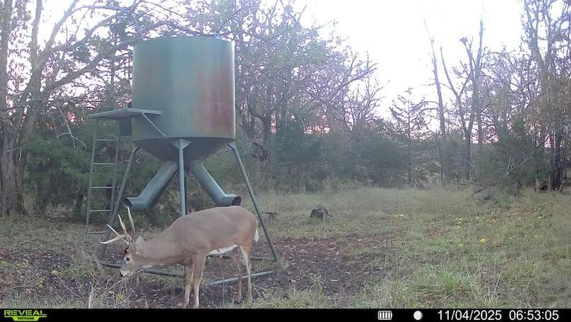 016578005325235-100-3-11042025065305-SYFW00379