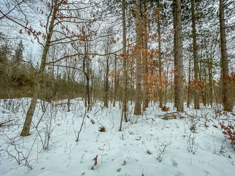 Adams 263.17, Hale -33