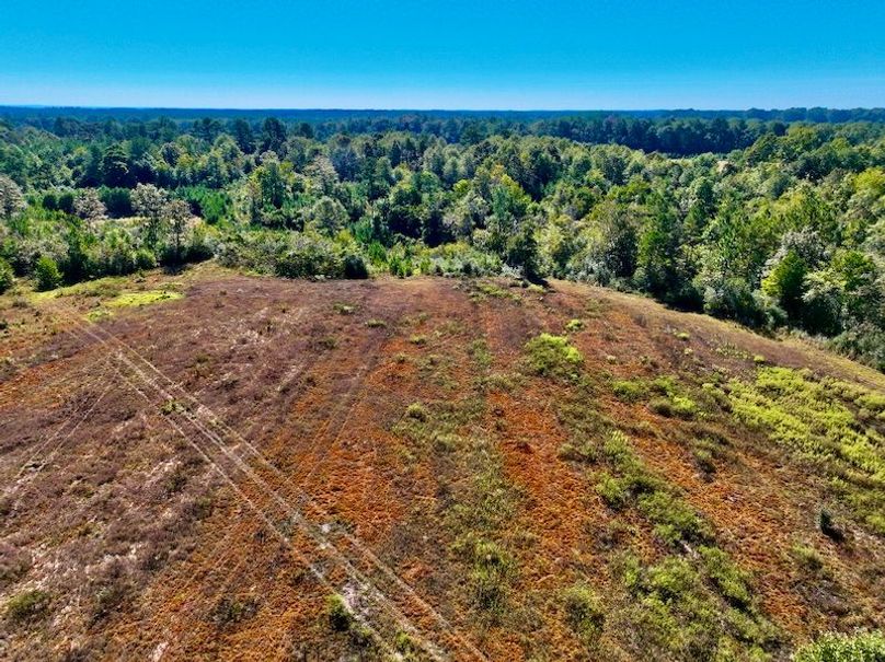 1444C140-6968-4299-B0FA-D77061D6B362_1_201_a