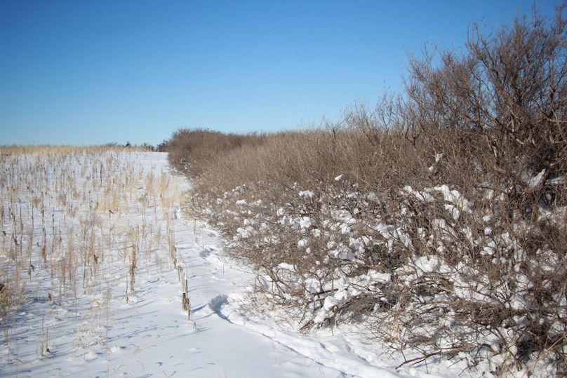 pic 7