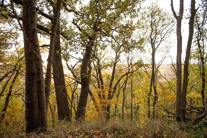 MONONA CO IA 14.95_17