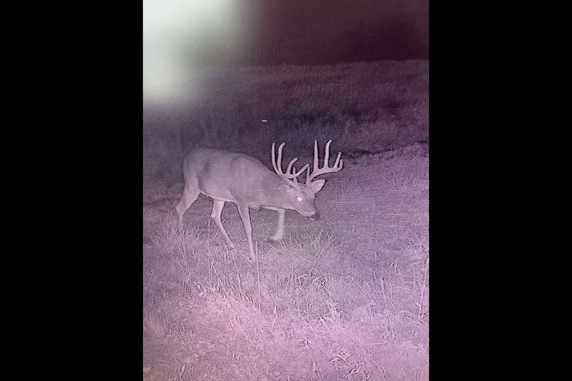56