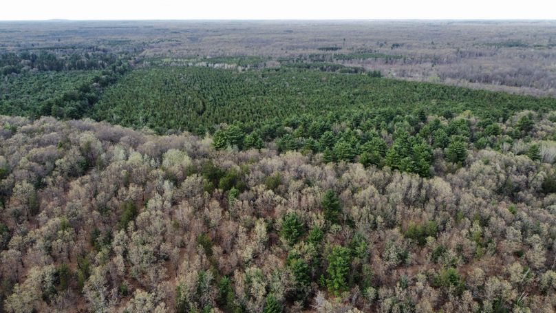 dji_fly_20230509_171910_413_1683724277767_photo_optimized