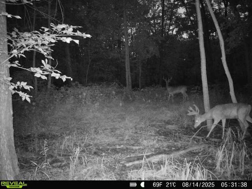 860516068101389-100-3-08142025053138-V-W1000199