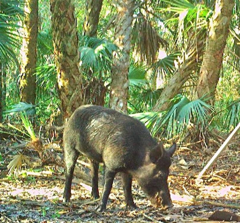 3BBA4790-1765-4114-AF14-0A7CDC19F8E8