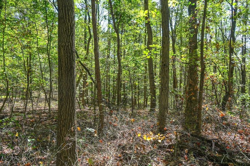 Fayette, 199, Hostetler-22