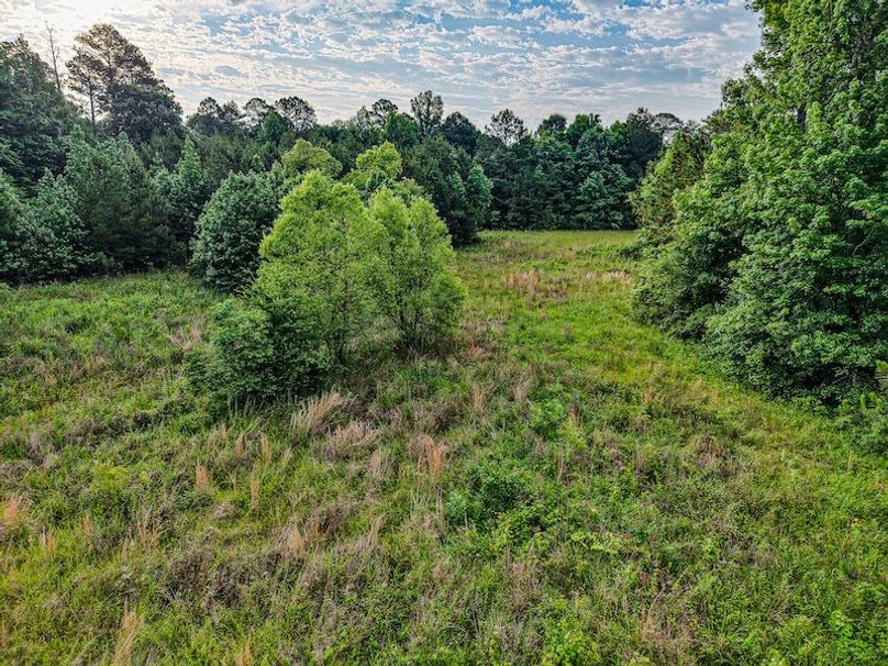 Chickasaw Tract 2-08