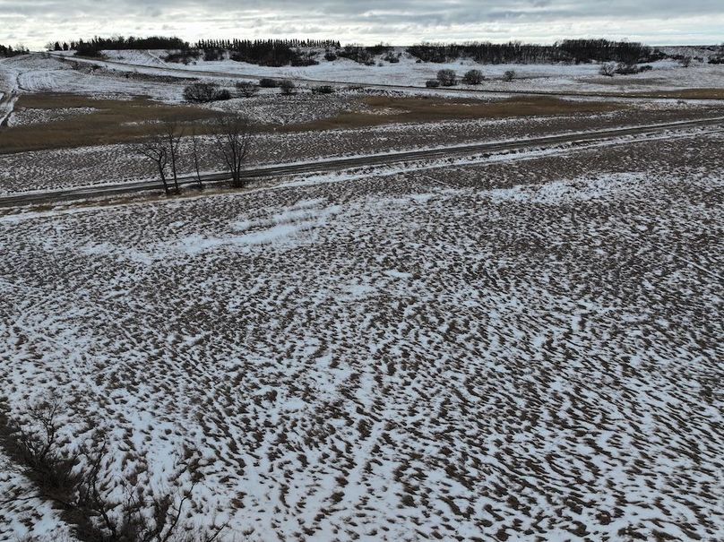 DJI_20251209174950_0981_D