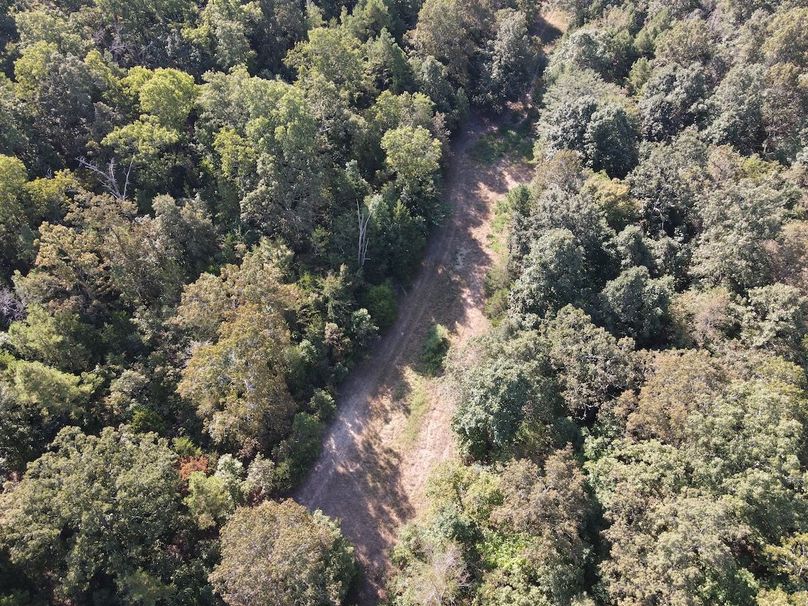 dji_fly_20250902_095710_735_1756825062288_photo