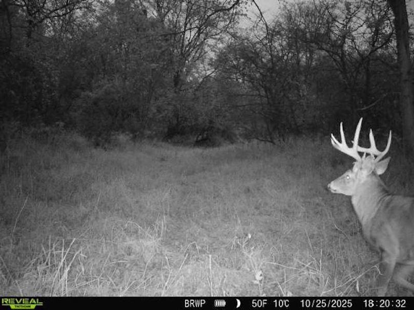 860322065236702-100-4-10252025182032-W1000333