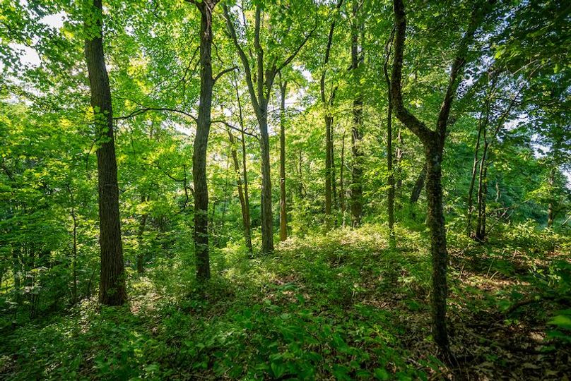 Wetzel WV 171 Featured_Pro Photo-47