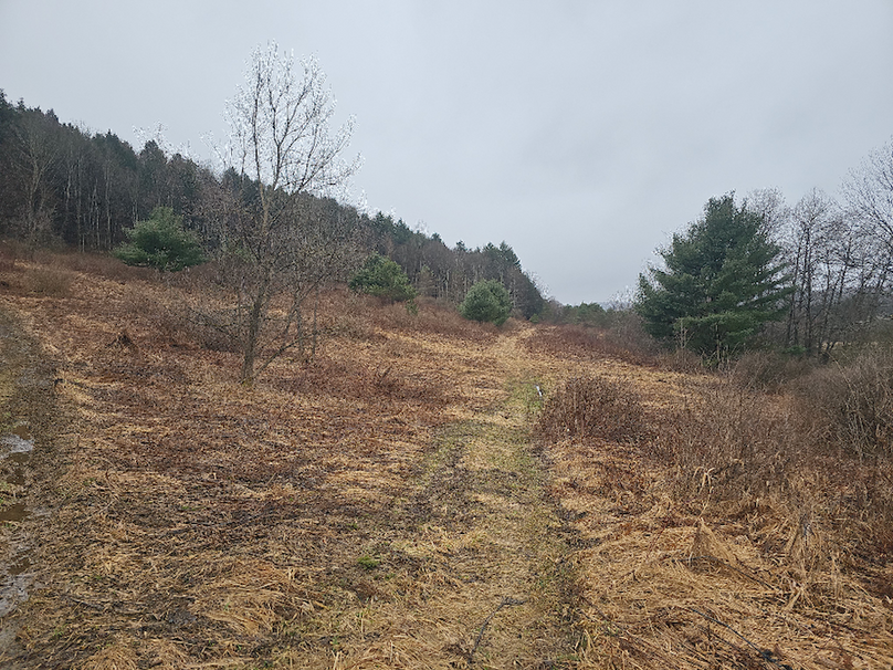 photo_b636e99e-f381-4fa0-99f2-2b3c19c305b4