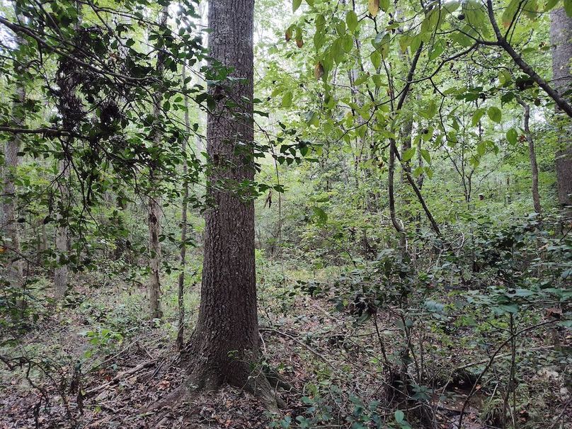 IMG_20250914_153947685