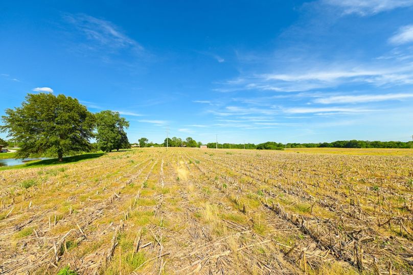 Copy of st clair 25 auction(10)