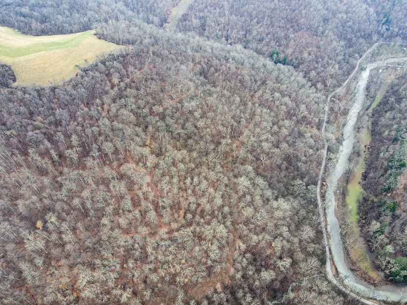 dji_fly_20240306_123718_884_1709746654682_photo