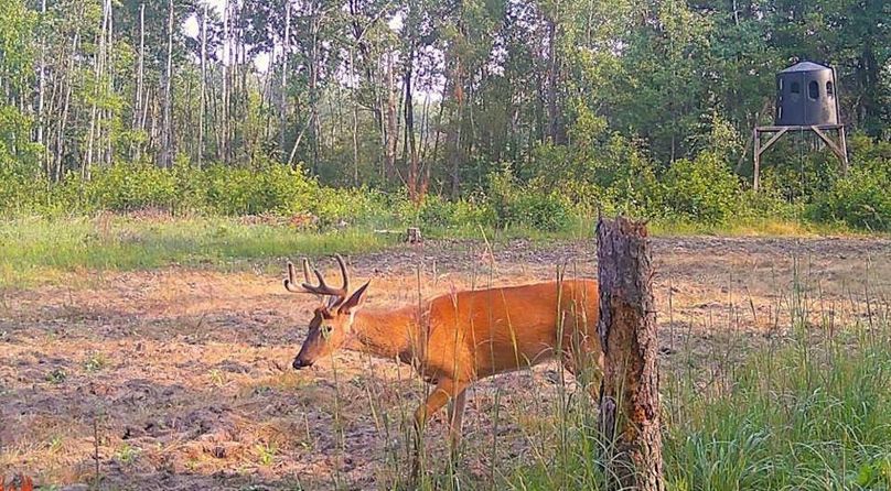 25080208524801000727 (1)