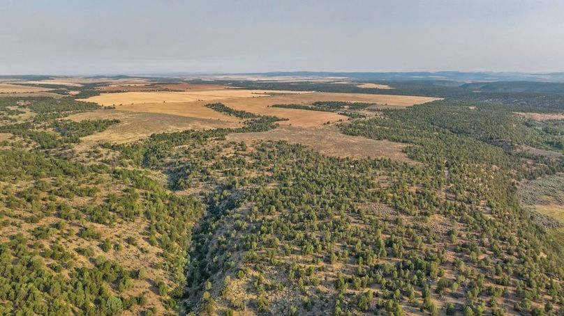 DJI_0586_1