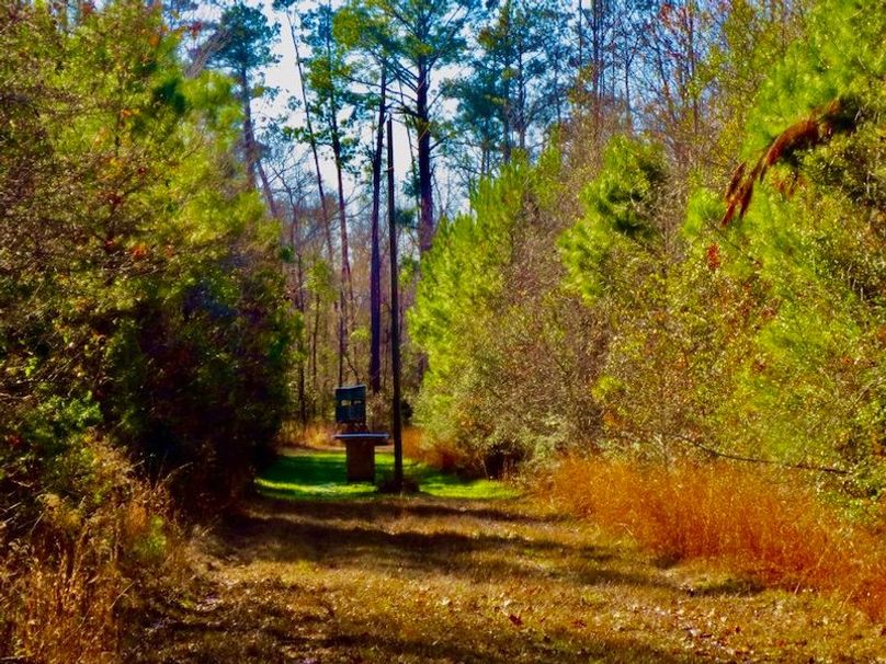 CD3A0771-B118-4FE7-B361-A29EEF5B0FF1_1_105_c