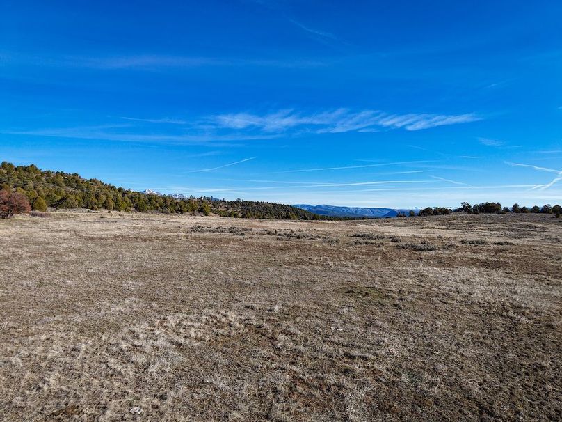 DJI_20260312092322_0152_D