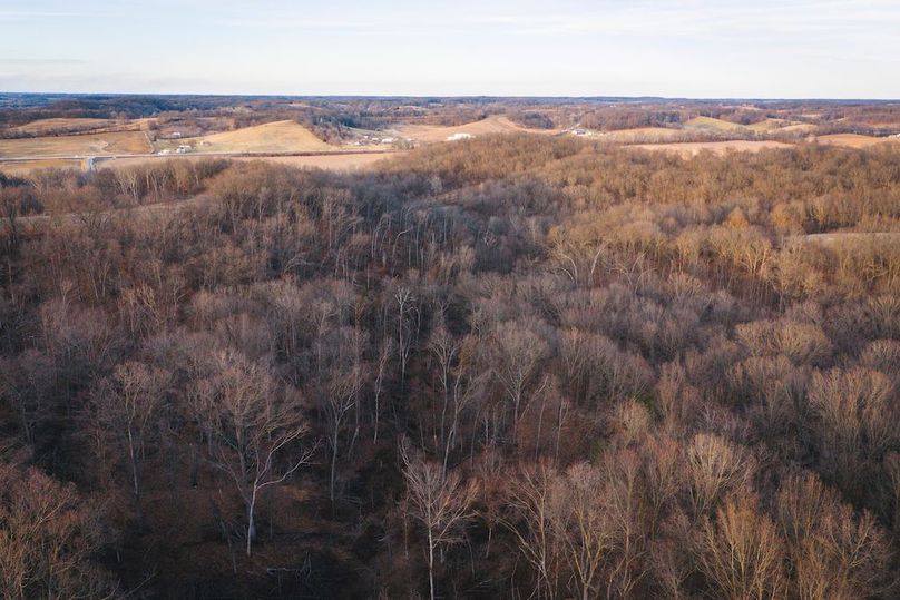 DJI_20260218170755_0705_D