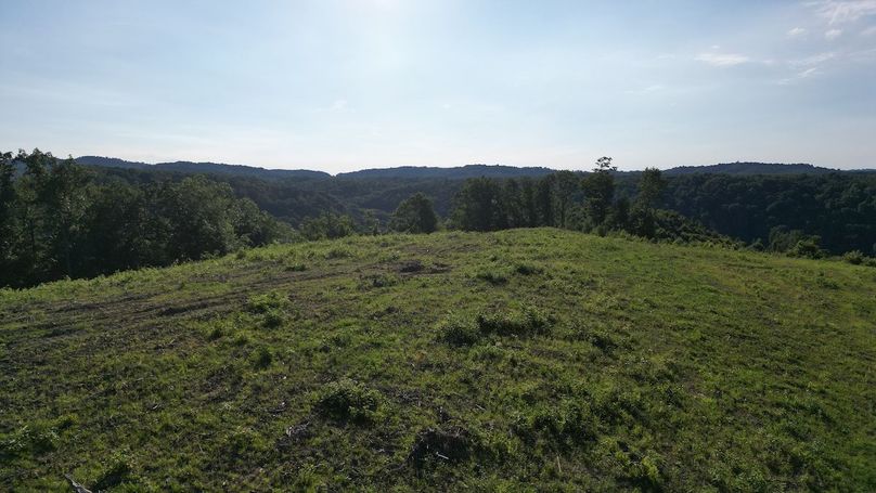 Copy of dji_fly_20240703_133536_505_1719964284271_photo