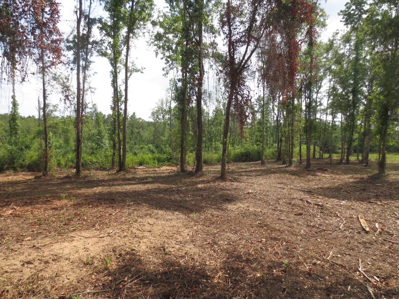 6E5070BF-33DE-493F-93CF-205A7CE30270