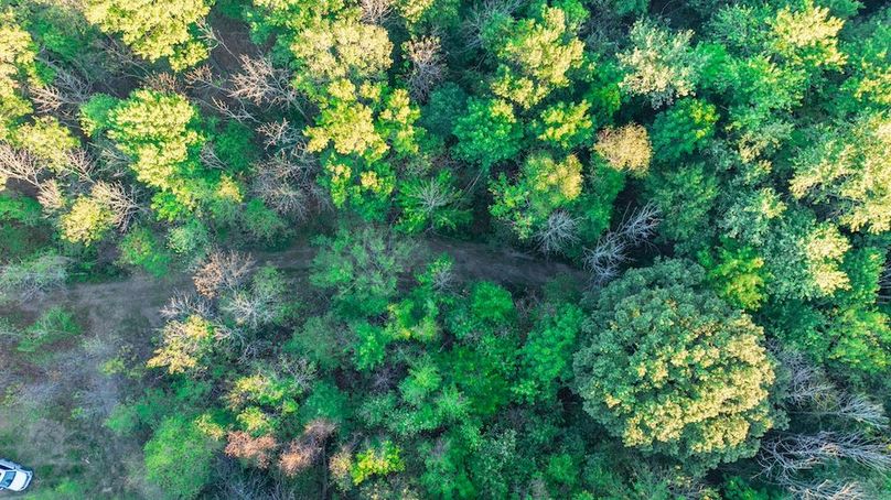 DJI_20251008050305_0008_D