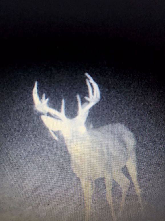 A83350E0-7550-41FC-8C4B-4478D274CD74